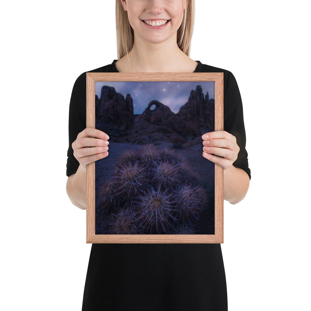 Eye of Alabama Hills Framed Luster