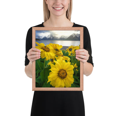 Grand Teton Wildflowers Framed Luster