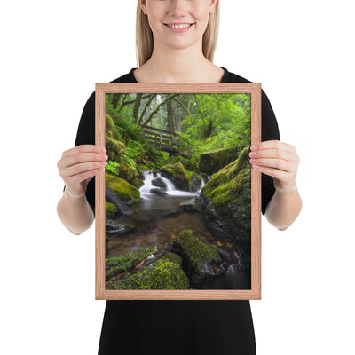 Oregon Fairy Garden Framed Luster