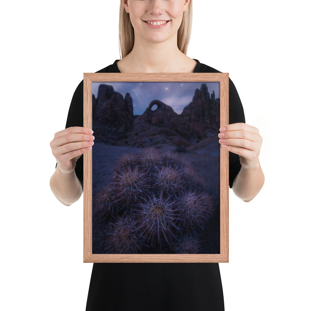 Eye of Alabama Hills Framed Luster
