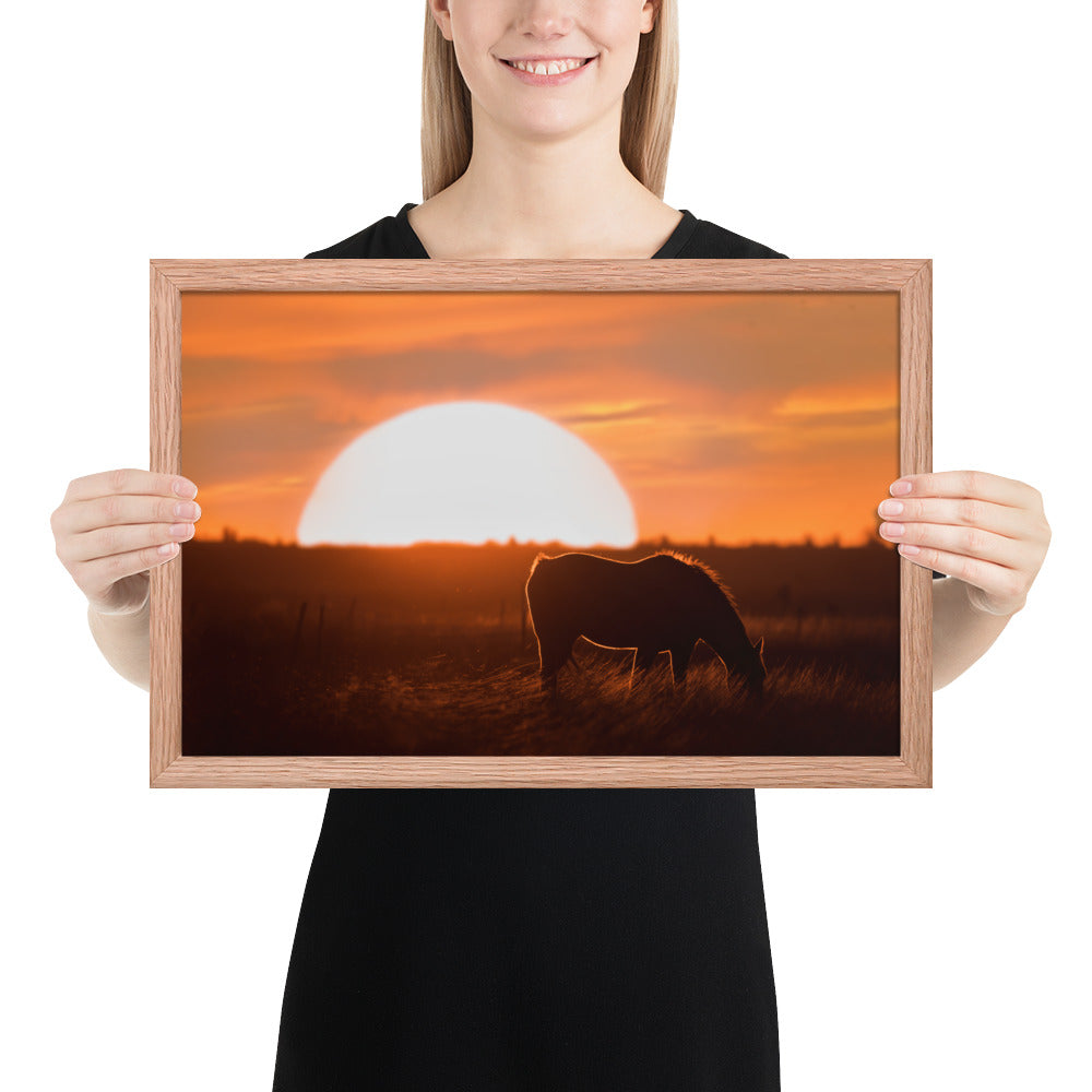 Llano Estacado Horse Framed Luster