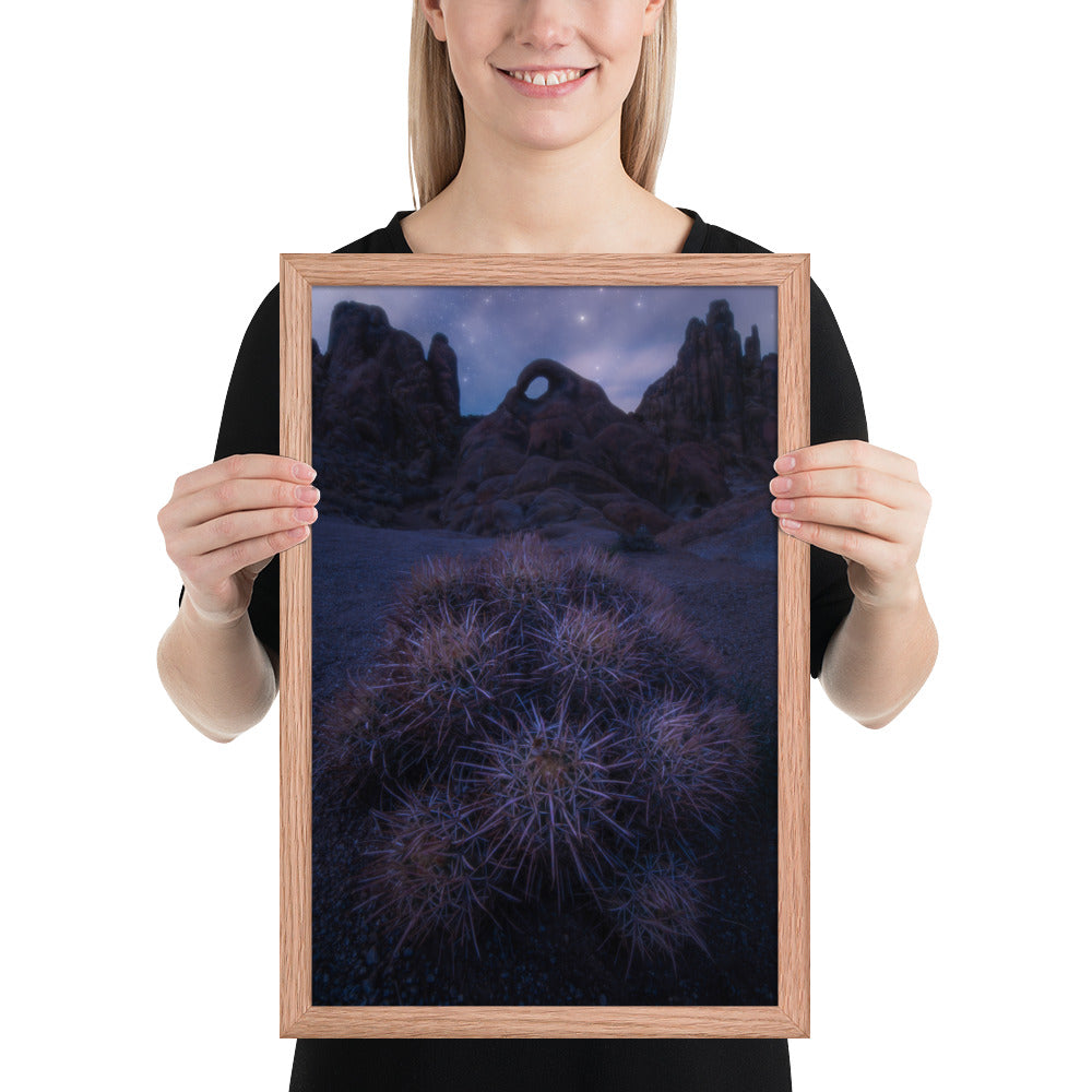 Eye of Alabama Hills Framed Luster
