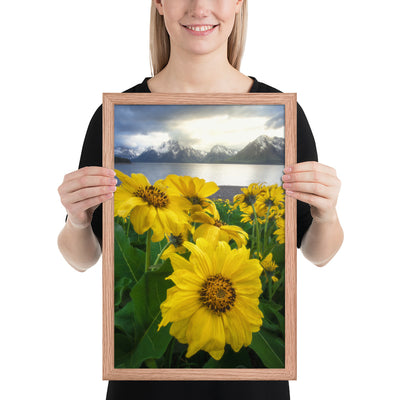 Grand Teton Wildflowers Framed Luster