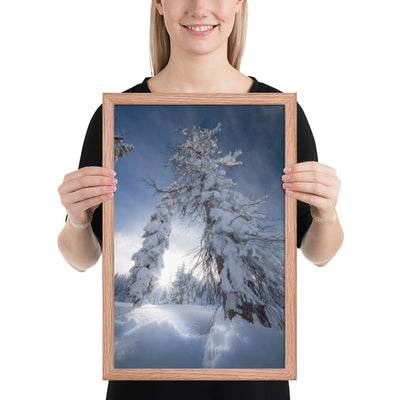 Pagosa Springs Backcountry Framed Luster
