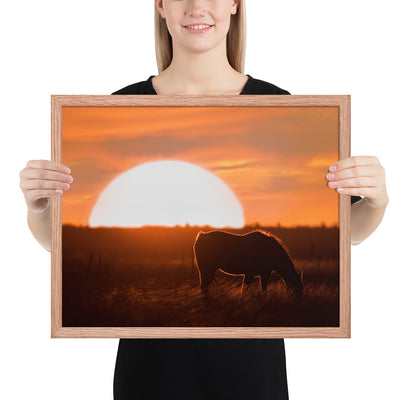 Llano Estacado Horse Framed Luster