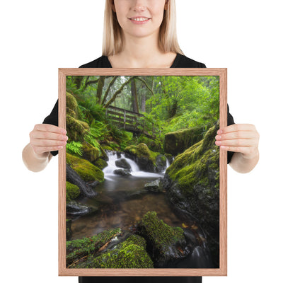 Oregon Fairy Garden Framed Luster