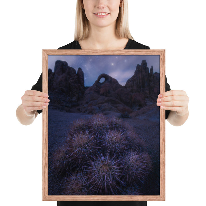 Eye of Alabama Hills Framed Luster