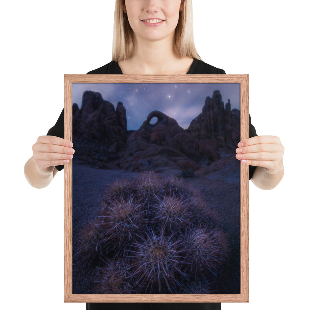 Eye of Alabama Hills Framed Luster