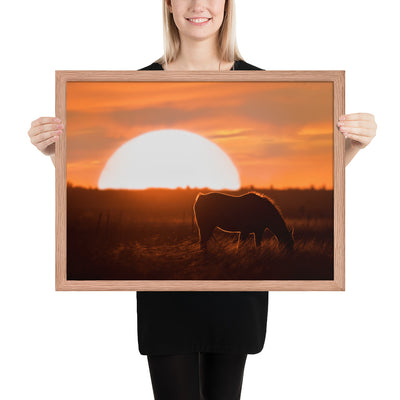 Llano Estacado Horse Framed Luster