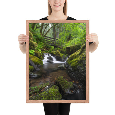 Oregon Fairy Garden Framed Luster