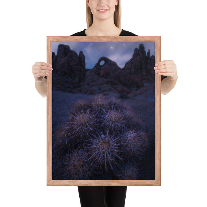 Eye of Alabama Hills Framed Luster
