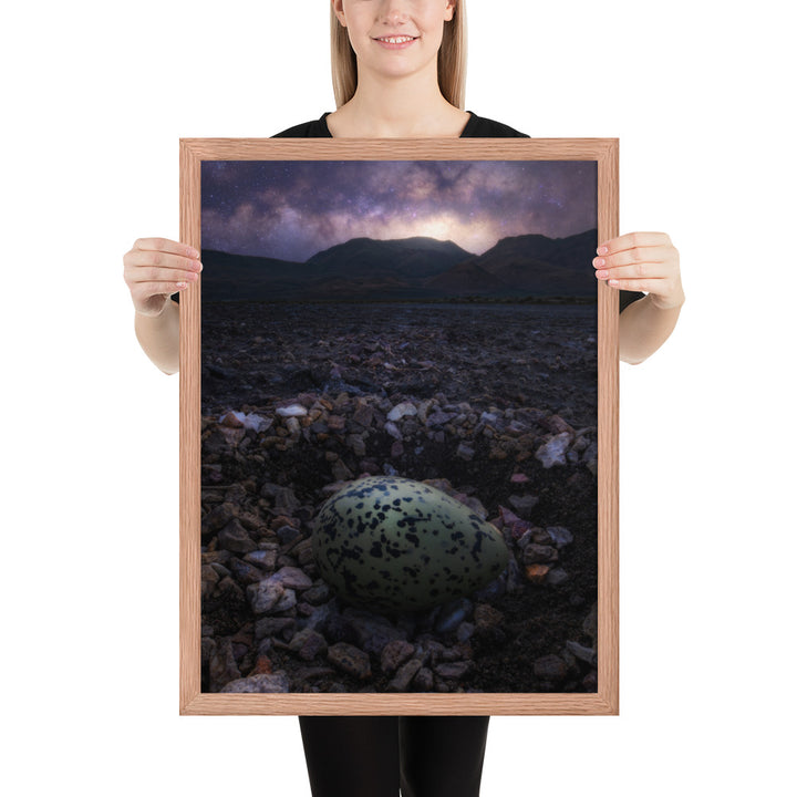 Alvord Avocet Egg Framed Luster