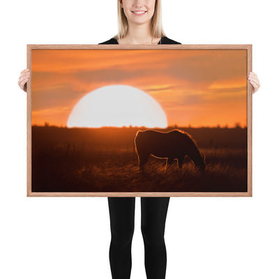 Llano Estacado Horse Framed Luster
