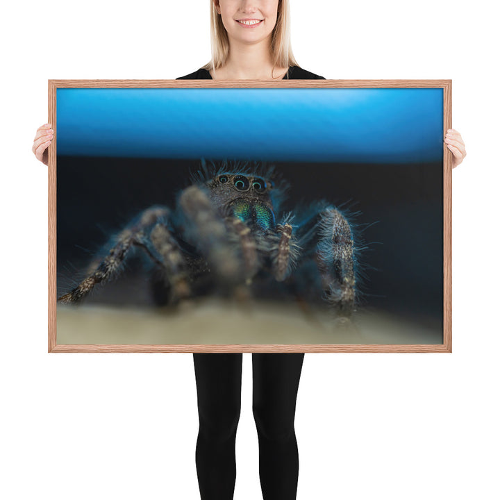 Jumping Spider Framed Luster