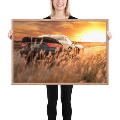 ACR Viper Sunset Framed Luster