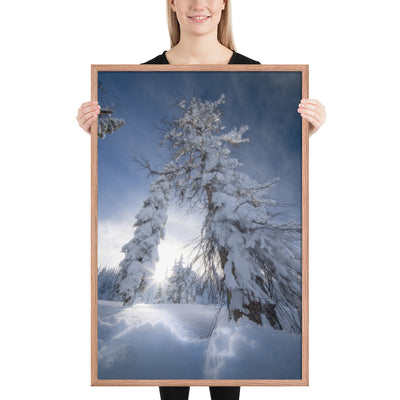 Pagosa Springs Backcountry Framed Luster