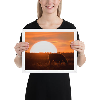 Llano Estacado Horse Framed Luster