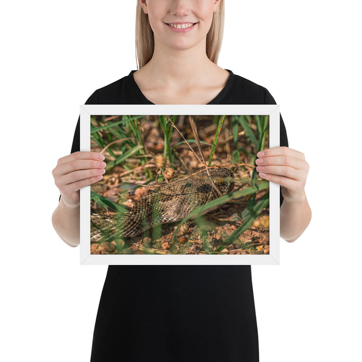 Caprock Canyons Rattlesnake Framed Luster