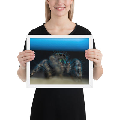 Jumping Spider Framed Luster