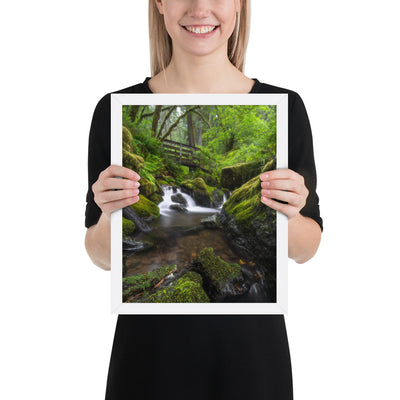 Oregon Fairy Garden Framed Luster