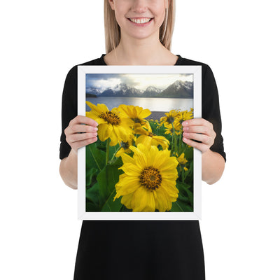Grand Teton Wildflowers Framed Luster