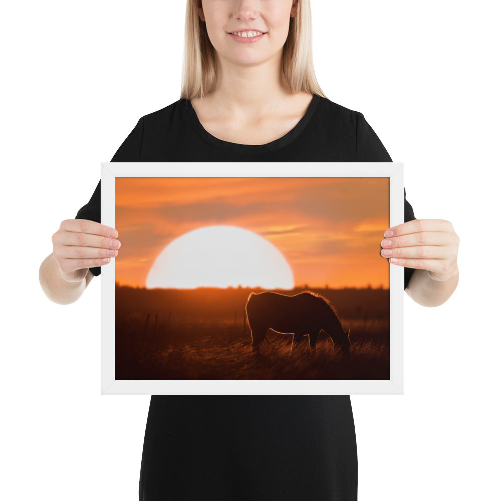 Llano Estacado Horse Framed Luster