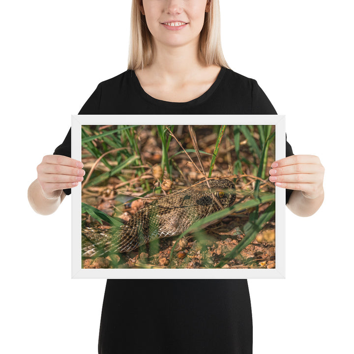 Caprock Canyons Rattlesnake Framed Luster