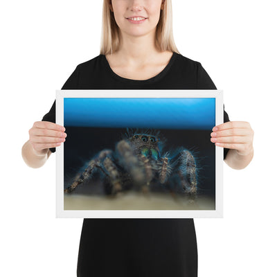 Jumping Spider Framed Luster