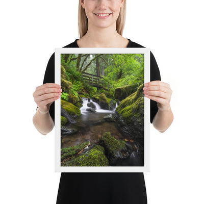 Oregon Fairy Garden Framed Luster