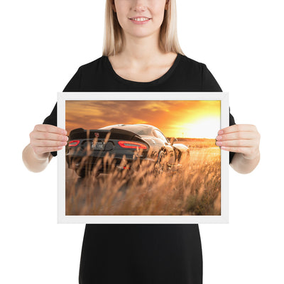 ACR Viper Sunset Framed Luster