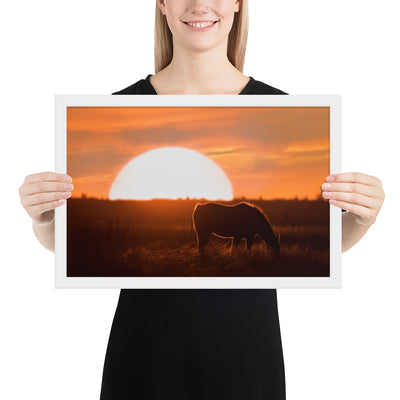Llano Estacado Horse Framed Luster