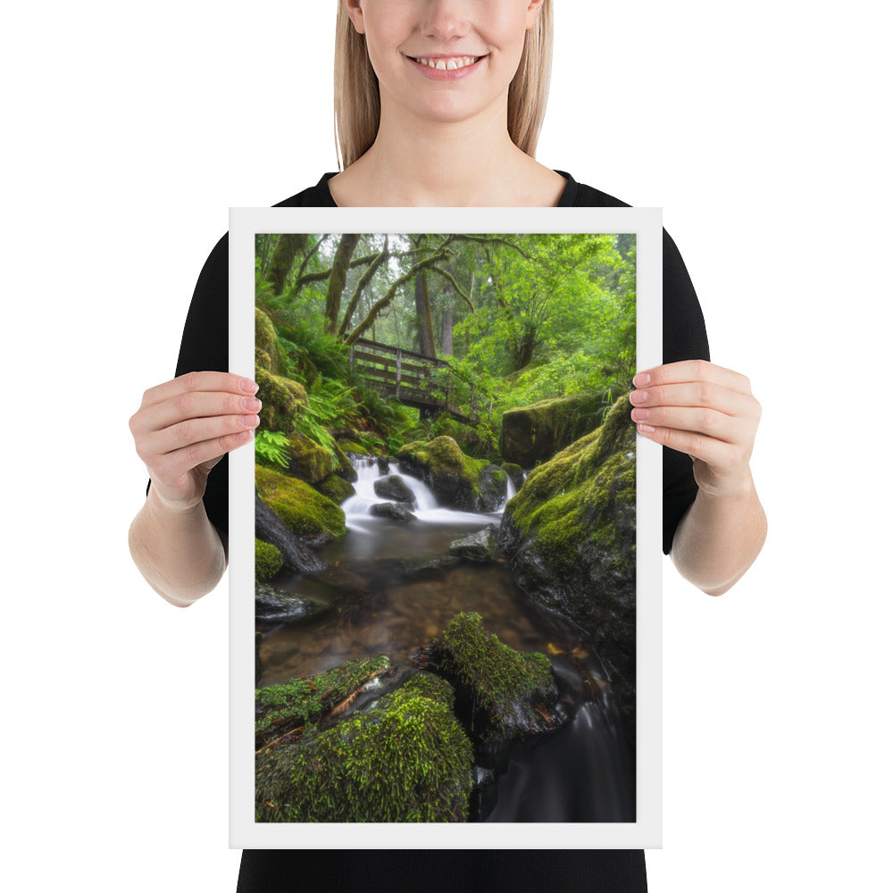Oregon Fairy Garden Framed Luster