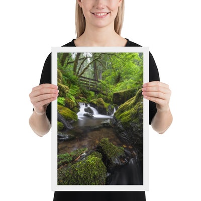 Oregon Fairy Garden Framed Luster