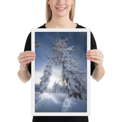 Pagosa Springs Backcountry Framed Luster