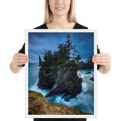 Oregon Coast Framed Luster