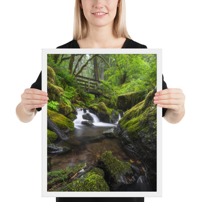 Oregon Fairy Garden Framed Luster