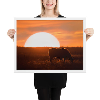 Llano Estacado Horse Framed Luster