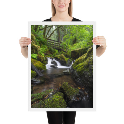 Oregon Fairy Garden Framed Luster