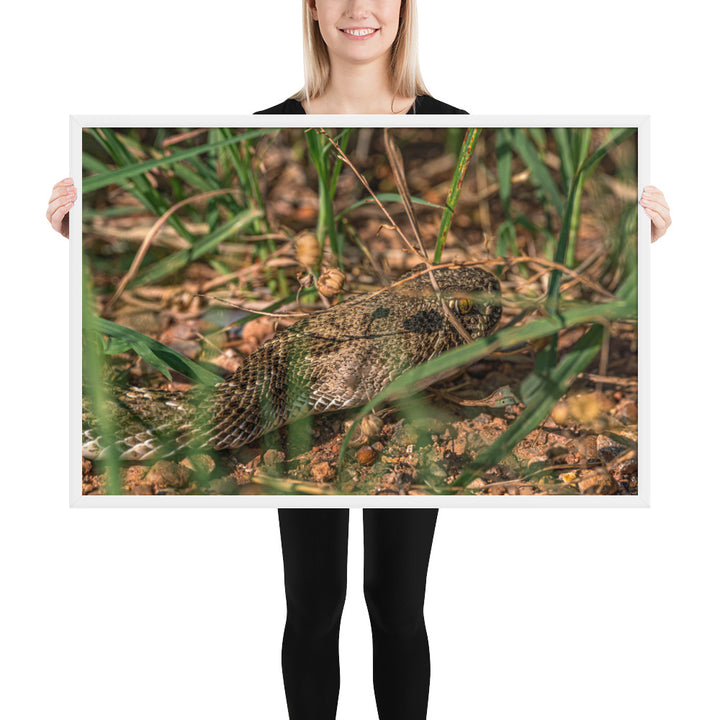 Caprock Canyons Rattlesnake Framed Luster