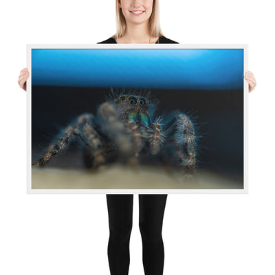 Jumping Spider Framed Luster
