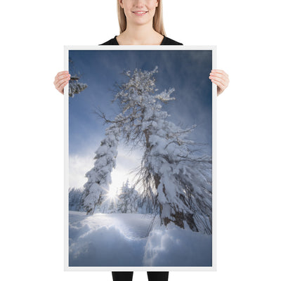 Pagosa Springs Backcountry Framed Luster