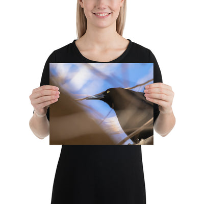 Perched Grackle Luster