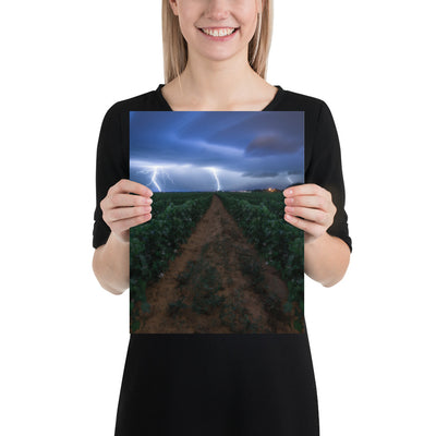 Cottonfield Lighting Storm Luster