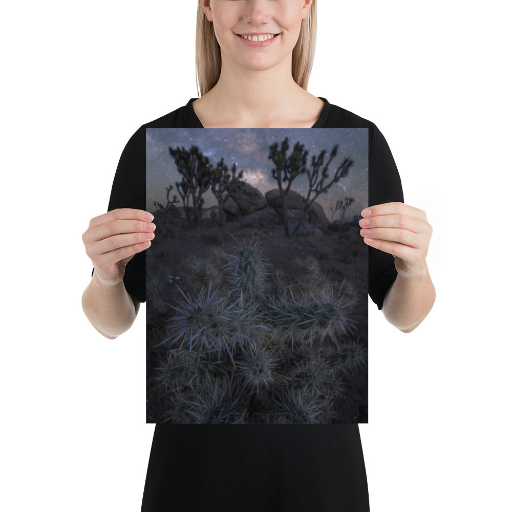 Joshua Tree Night Luster