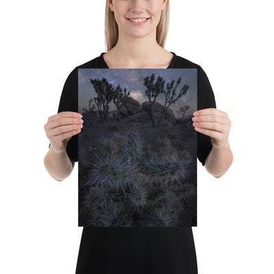 Joshua Tree Night Luster