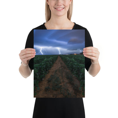 Cottonfield Lighting Storm Luster