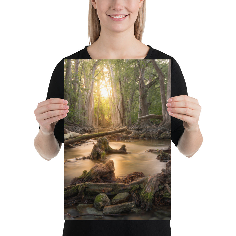 Cibolo Creek Sunset Luster