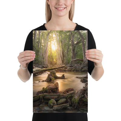 Cibolo Creek Sunset Luster