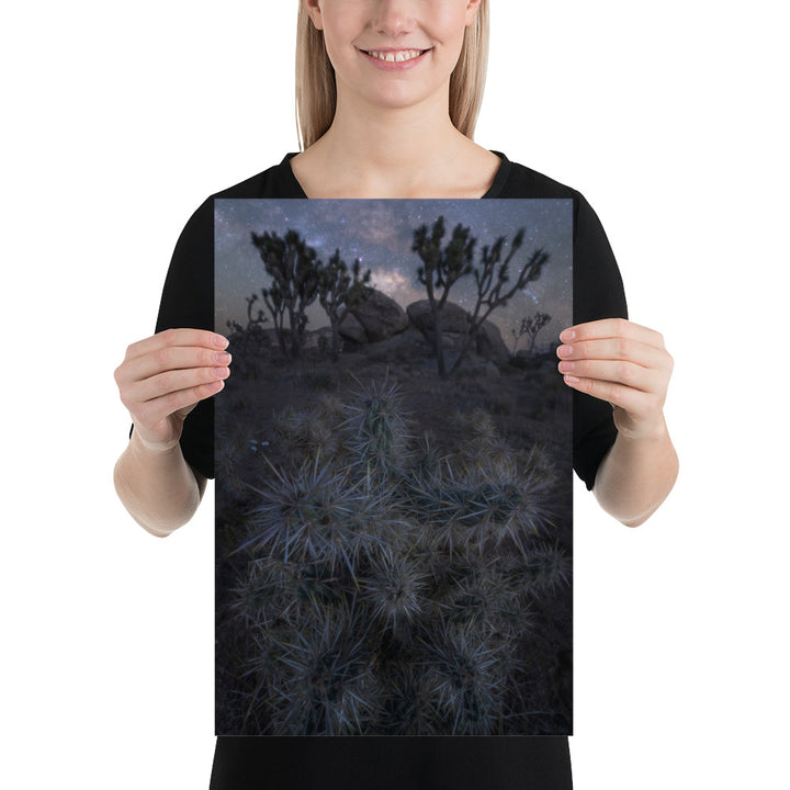 Joshua Tree Night Luster