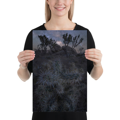 Joshua Tree Night Luster
